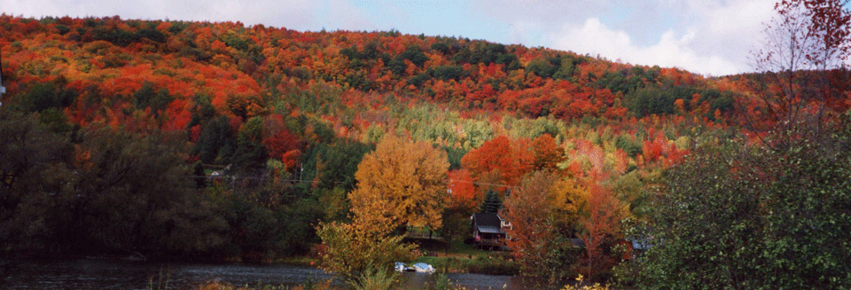 automne-2.gif