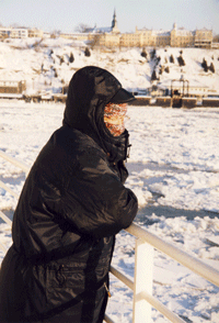 A. LN-traversier-200.gif