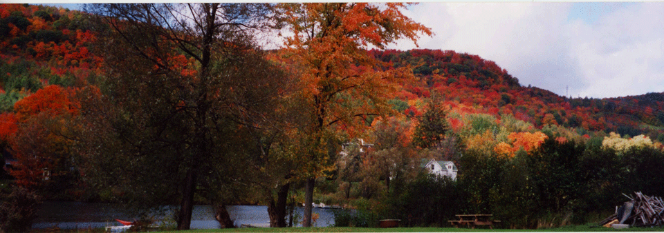 nature-long-f-1-D.gif