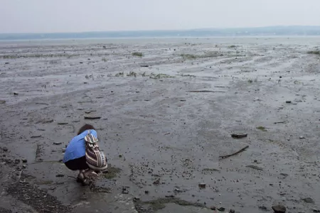 Battures-Mich copie.gif