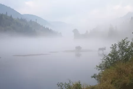 orig-10.gif